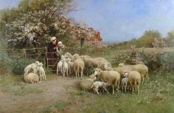  Sheep 138